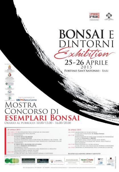 Mostra-concorso di esemplari bonsai - BONSAI E DINTORNI EXHIBITION - III Edizione