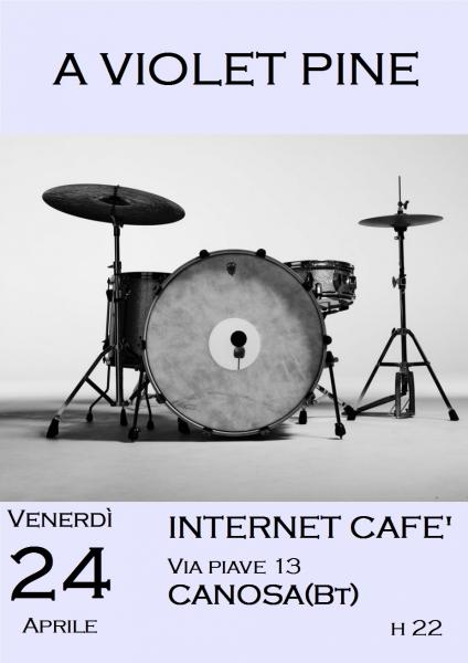 A Violet Pine in concerto