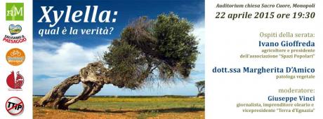 Xylella: qual è la verità?