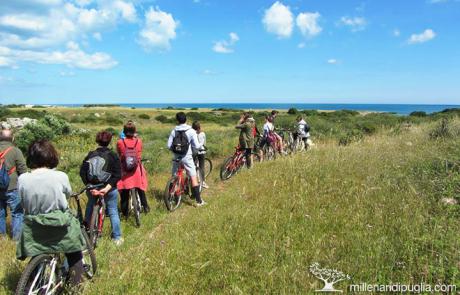 Cicloescursione primaverile tra il mare e gli ulivi millenari