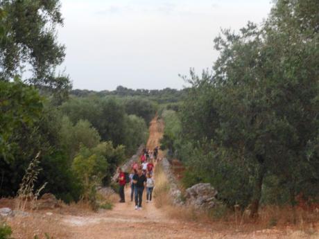 La via degli antichi palmenti