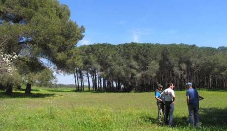 IL CAMMINO DEI PITAGORICI. IX Edizione del Grand Tour della Terra delle Gravine