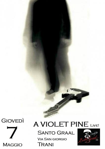 A Violet Pine in concerto
