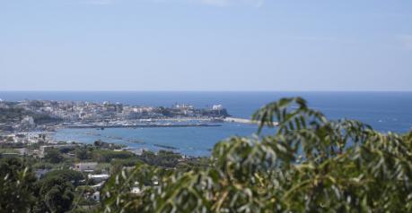 Fine settimana naturalistico Ischia