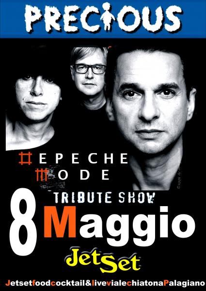 Depeche Mode Precious Tribute Show