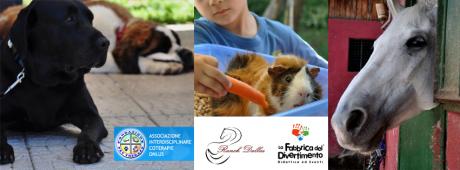 A contatto con gli Animali