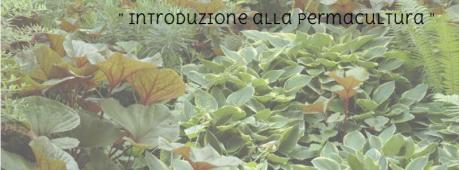 " Introduzione alla permacultura "