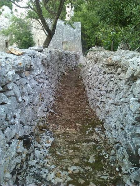 Camminando per contrade tra Tratturi, Trulli, muretti a secco e boschi