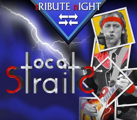 DIRE STRAITS ➡⬅ Tribute band