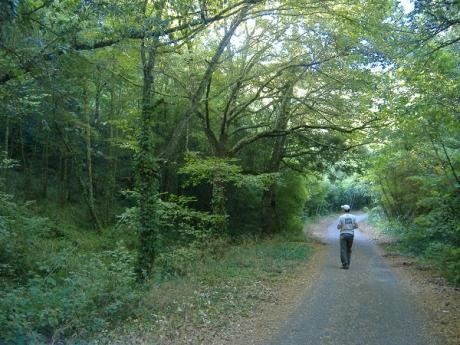 Il Segreto del Bosco