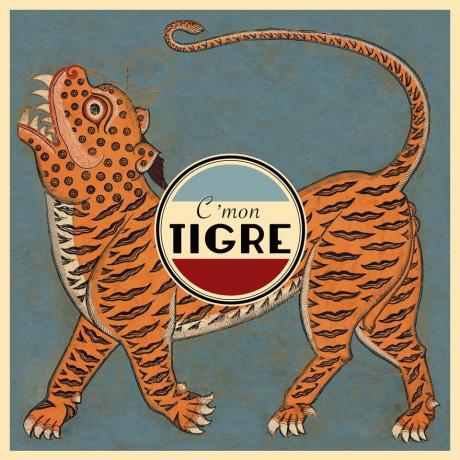 Roma incontra il Mondo: C’MON TIGRE in concerto