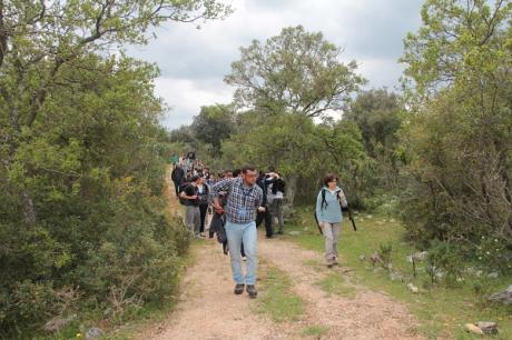 Il Bosco Orimini