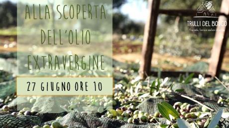 Alla scoperta dell'olio extravergine