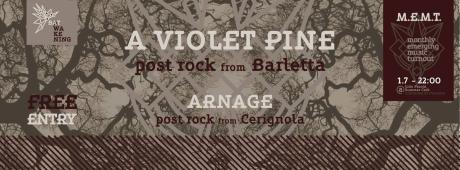 MEMT - A Violet Pine / Arnage