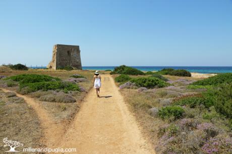 Passeggiata naturalistica a Torre Pozzelle (Ostuni)