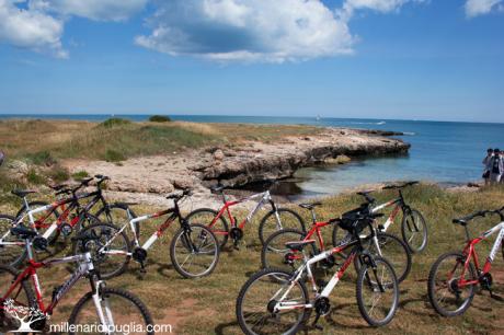Cicloescursione tra il mare e gli ulivi millenari di Ostuni