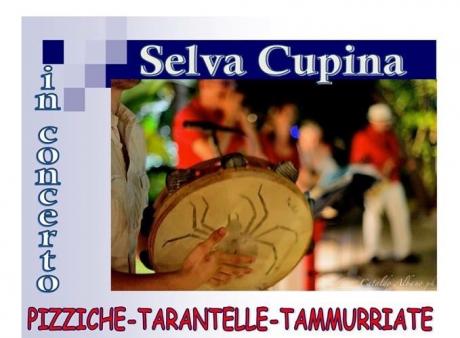 Selva Cupina