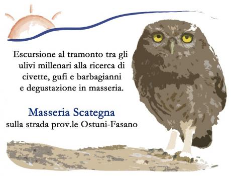 Al Canto Della Civetta