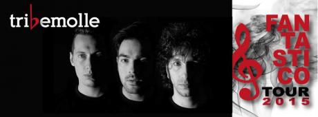 Tribemolle Live in Concert