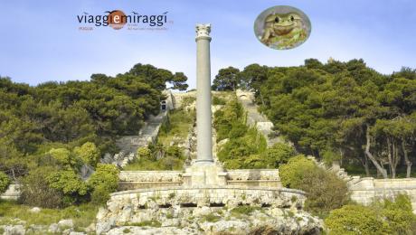 Vieni e Meravigliati a Santa Maria di Leuca