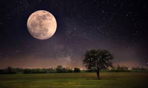 “Camminando con la luna”