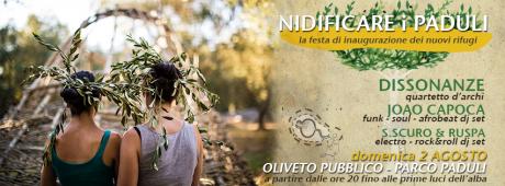 Nidi in Festa! Quartetto d'archi e dj-set per la serata conclusiva di Nidificare i Paduli