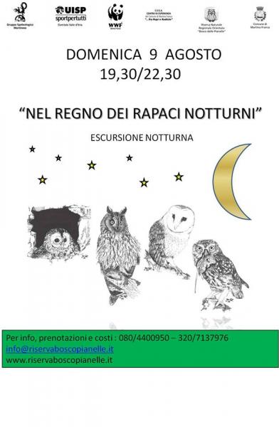 Nel Regno Dei Rapaci Notturni