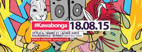 Postepay Parco Gondar: il secondo Kawabonga Party con Stylo G e Ward 21