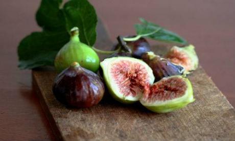 PIZZICA E FICHI. FESTA TRADIZIONALE CON PIZZICA e conversazione sulla biodiversità.