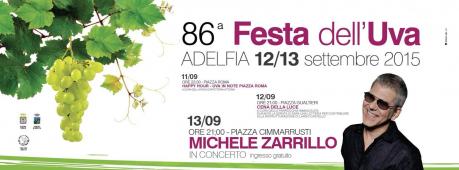 Michele Zarrillo in concerto
