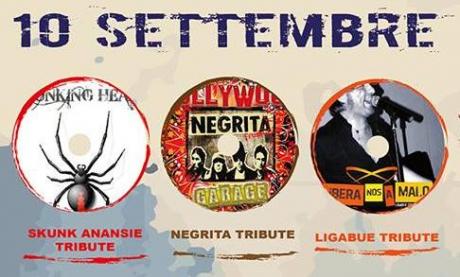 Skunk Anansie - Negrita - Ligabue - Divino Vineria