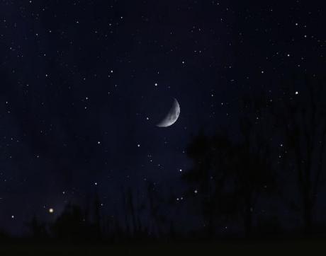 La Luna nel Bosco