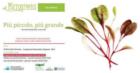 "Più piccolo, più grande - racconto fotografico e non solo"