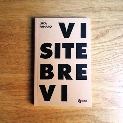 "Visite brevi" - Conferenza di Luca Panaro