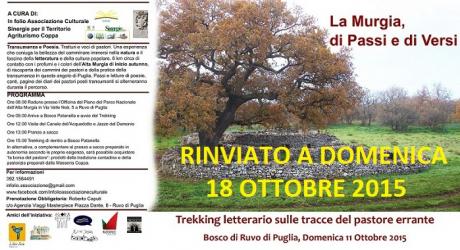 La Murgia, di Passi e di Versi Trekking letterario sulle tracce del pastore errante