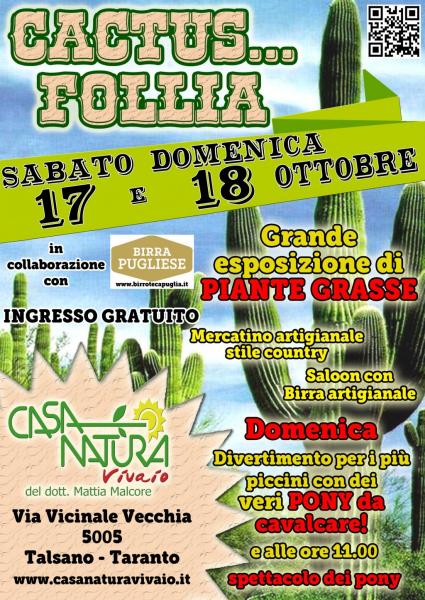 Cactus... follia