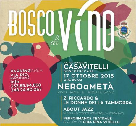 BoscoDiVino, la Festa del Vino, al borgo Casavitelli di Boscotrecase