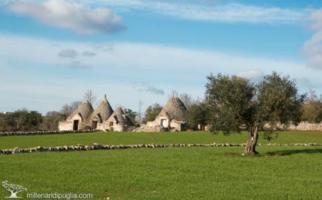 Escursione in Valle d’Itria lungo i sentieri dell’acquedotto da Masseria Cantone
