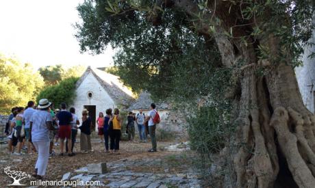 Trekking dei Santi tra masserie, trulli e paesaggi bucolici