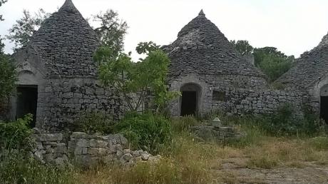 “ Su e giù dal Monte del Sale”