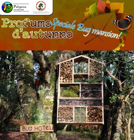 Profumo d'Autunno - "Speciale Bug Mansion!"