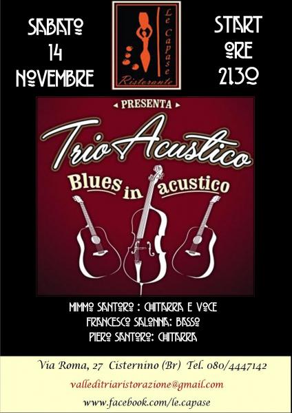 Trio Acustico Blues
