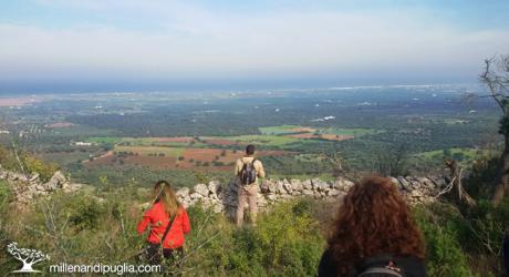 Escursione panoramica tra i boschi e la Valle d'Itria di Cisternino