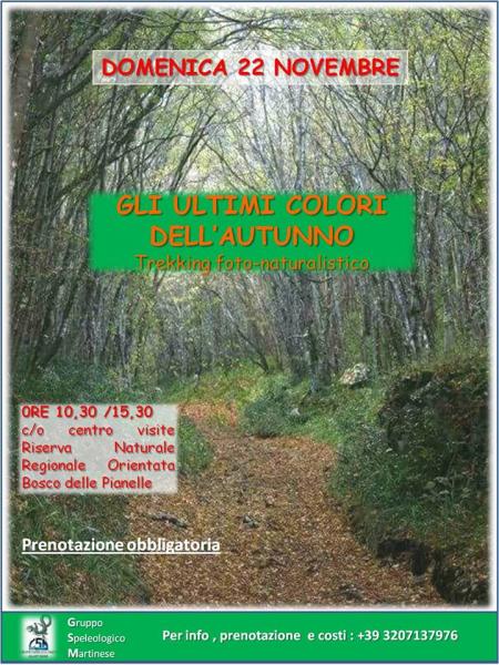 Gli ultimi colori dell’autunno