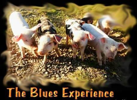 The Blues Experience