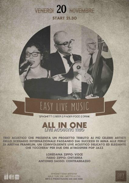 All in One - Live acoustic trio