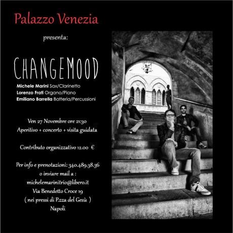 Ven 27 Novembre a PALAZZO VENEZIA "Michele Marini Organic Trio" in Concerto alle ore 21:30...