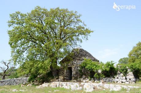Le contrade di Locorotondo: Marziolla e Lamie Affascinate