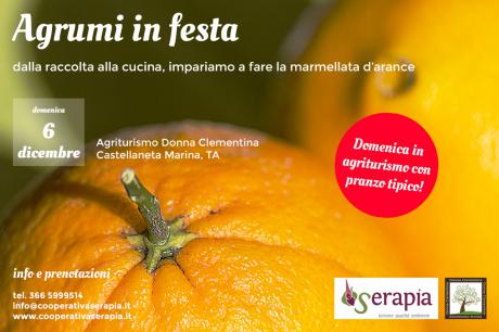Agrumi in festa