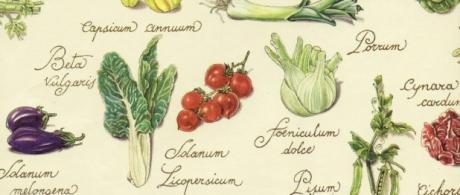 Aperitivo biologico al Caffè degli Esordi